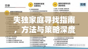 失獨(dú)家庭尋找指南，方法與策略深度解析