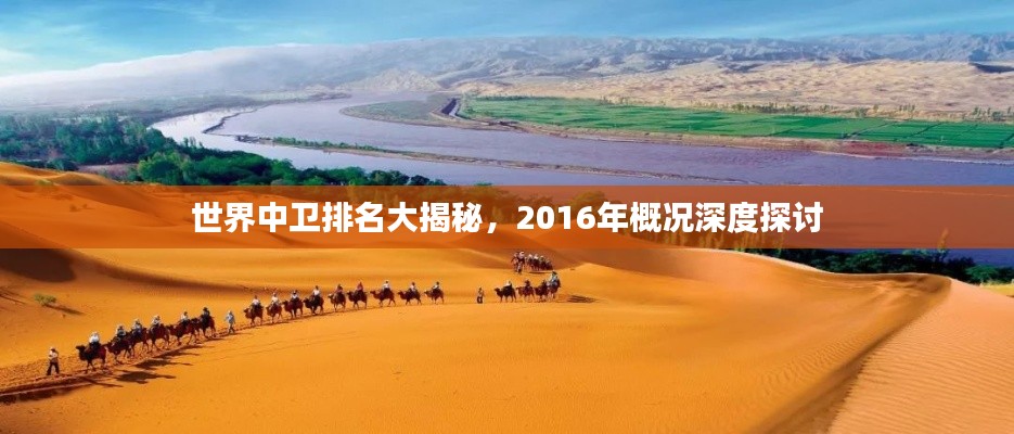 世界中衛排名大揭秘，2016年概況深度探討