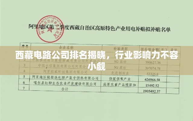 西藏電路公司排名揭曉，行業影響力不容小覷