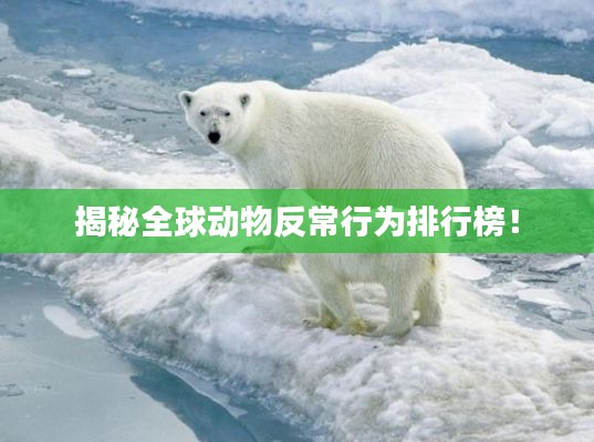 揭秘全球動物反常行為排行榜！