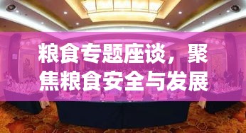 糧食專題座談，聚焦糧食安全與發(fā)展戰(zhàn)略