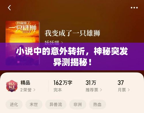 小說中的意外轉(zhuǎn)折，神秘突發(fā)異測(cè)揭秘！