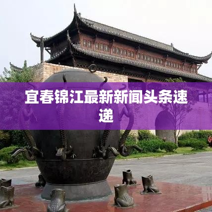 宜春錦江最新新聞頭條速遞