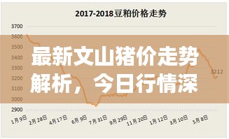 最新文山豬價走勢解析，今日行情深度剖析