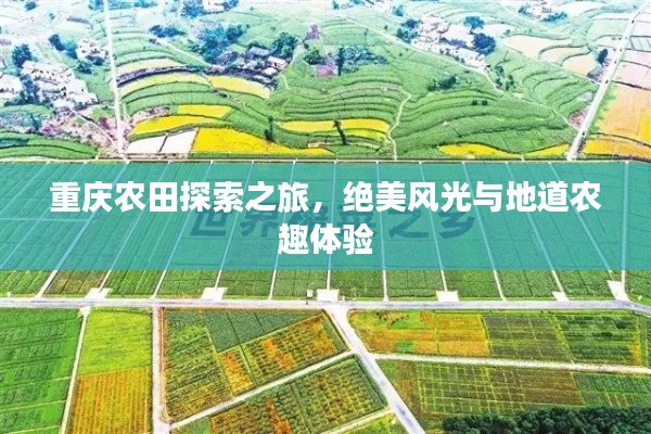 重慶農(nóng)田探索之旅，絕美風(fēng)光與地道農(nóng)趣體驗(yàn)