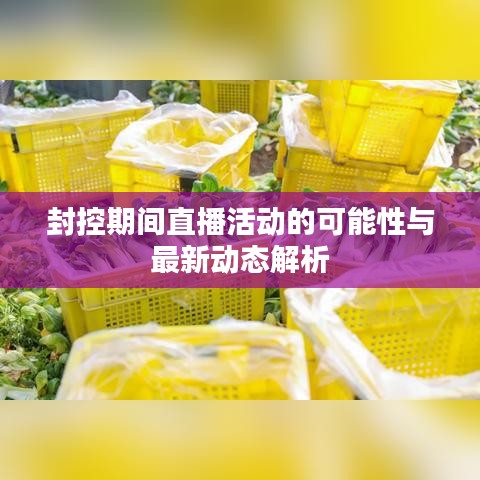 封控期間直播活動的可能性與最新動態(tài)解析