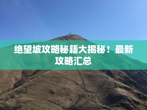 絕望坡攻略秘籍大揭秘！最新攻略匯總
