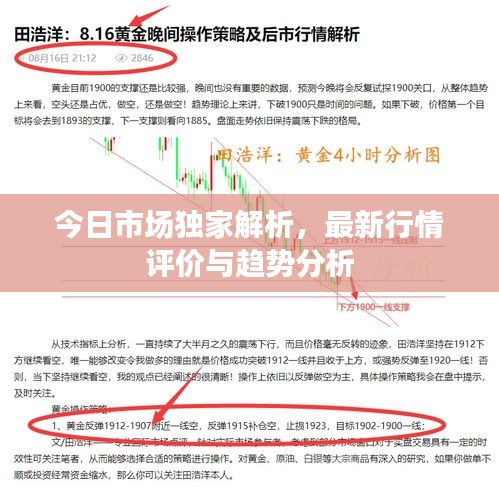 今日市場獨家解析，最新行情評價與趨勢分析