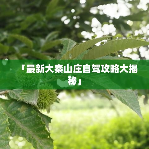 「最新大秦山莊自駕攻略大揭秘」