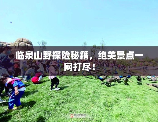 臨泉山野探險秘籍，絕美景點一網(wǎng)打盡！