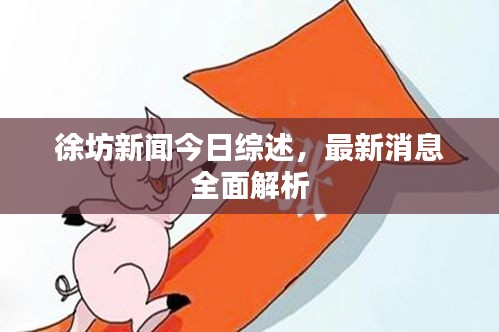 徐坊新聞今日綜述，最新消息全面解析