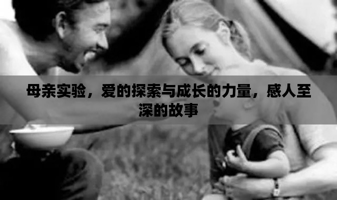 母親實(shí)驗(yàn)，愛的探索與成長的力量，感人至深的故事
