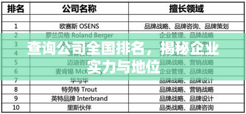 查詢公司全國(guó)排名，揭秘企業(yè)實(shí)力與地位