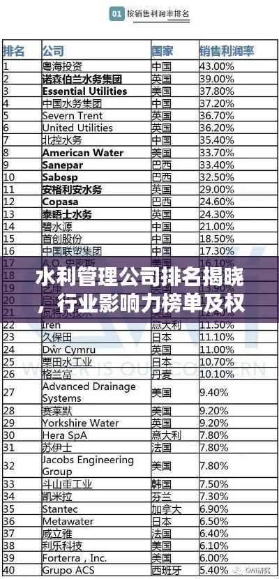 水利管理公司排名揭曉，行業影響力榜單及權威排名解析