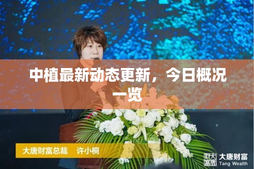 中植最新動態更新，今日概況一覽
