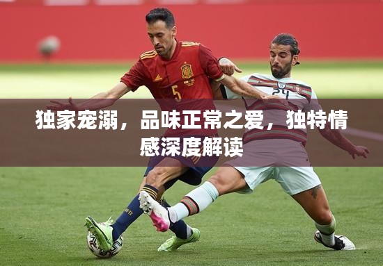 獨家寵溺，品味正常之愛，獨特情感深度解讀