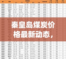 秦皇島煤炭價格最新動態(tài)，市場走勢及影響因素深度解析