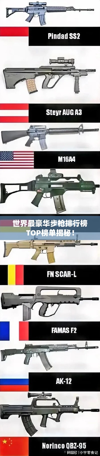 世界最豪華步槍排行榜TOP榜單揭秘！