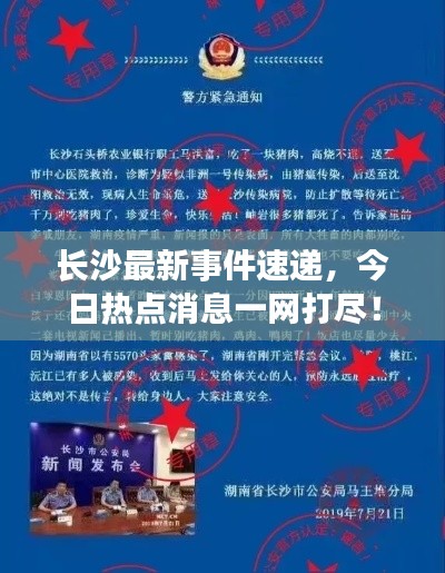 長沙最新事件速遞，今日熱點消息一網打盡！