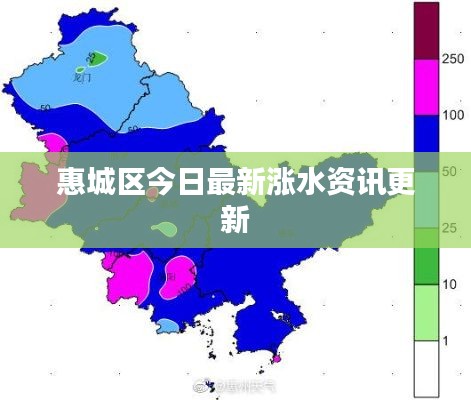 惠城區今日最新漲水資訊更新