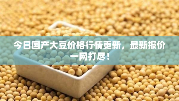 今日國產大豆價格行情更新，最新報價一網打盡！