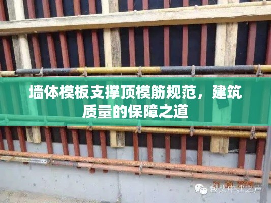 墻體模板支撐頂模筋規范，建筑質量的保障之道