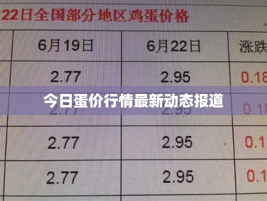 今日蛋價行情最新動態報道