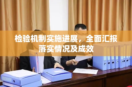 檢驗機制實施進展，全面匯報落實情況及成效