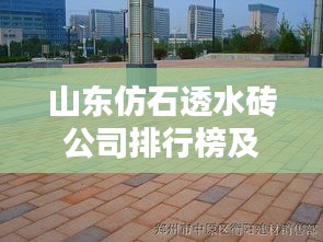山東仿石透水磚公司排行榜及行業(yè)影響力分析