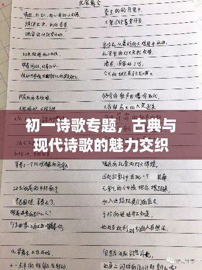 初一詩歌專題，古典與現代詩歌的魅力交織