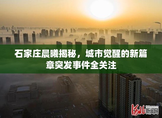 石家莊晨曦揭秘，城市覺醒的新篇章突發事件全關注