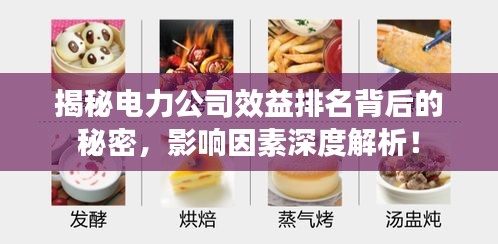 揭秘電力公司效益排名背后的秘密，影響因素深度解析！