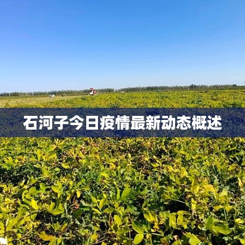 石河子今日疫情最新動態概述