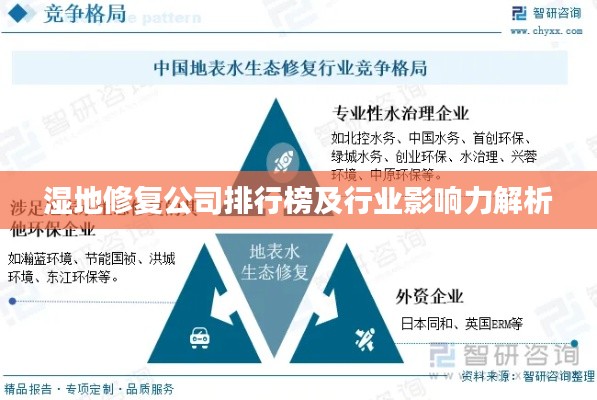 濕地修復公司排行榜及行業(yè)影響力解析