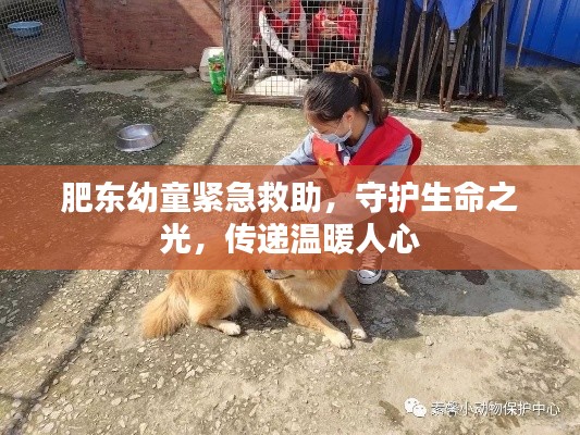 肥東幼童緊急救助，守護生命之光，傳遞溫暖人心