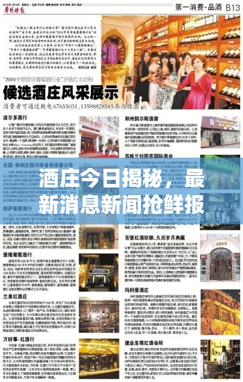 酒莊今日揭秘，最新消息新聞搶鮮報