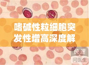 嗜堿性粒細胞突發(fā)性增高深度解析，原因、影響與應(yīng)對措施