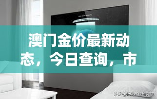 澳門金價(jià)最新動(dòng)態(tài)，今日查詢，市場(chǎng)走勢(shì)及影響因素深度解析