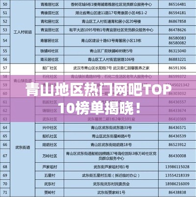 青山地區(qū)熱門網(wǎng)吧TOP10榜單揭曉！