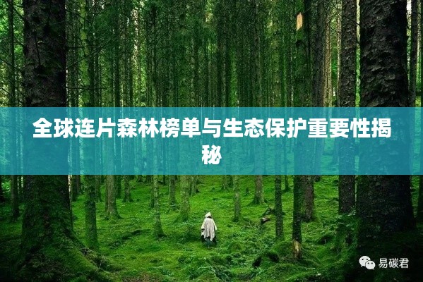 全球連片森林榜單與生態(tài)保護(hù)重要性揭秘