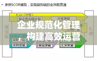 企業(yè)規(guī)范化管理，構建高效運營體系的關鍵所在
