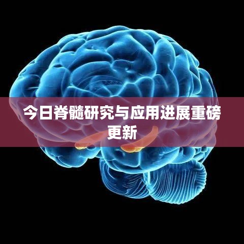 今日脊髓研究與應用進展重磅更新