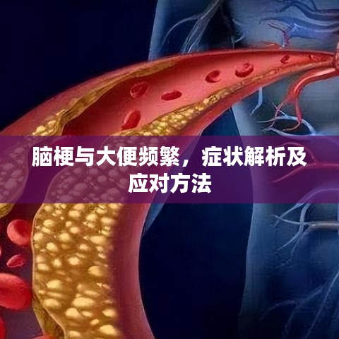 腦梗與大便頻繁，癥狀解析及應對方法