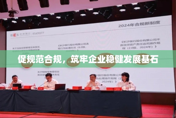促規范合規，筑牢企業穩健發展基石