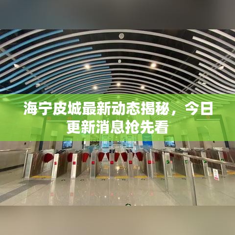 海寧皮城最新動態揭秘，今日更新消息搶先看