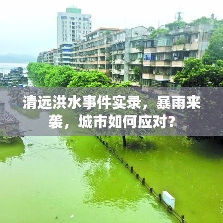 清遠洪水事件實錄，暴雨來襲，城市如何應對？