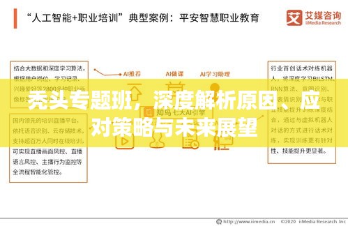 禿頭專題班，深度解析原因、應對策略與未來展望