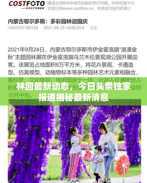 林園最新動態，今日頭條獨家報道揭秘最新消息
