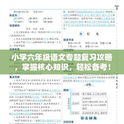 小學六年級語文專題復習攻略，掌握核心知識，輕松備考！