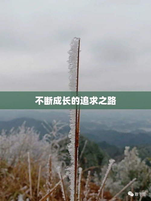 不斷成長(zhǎng)的追求之路